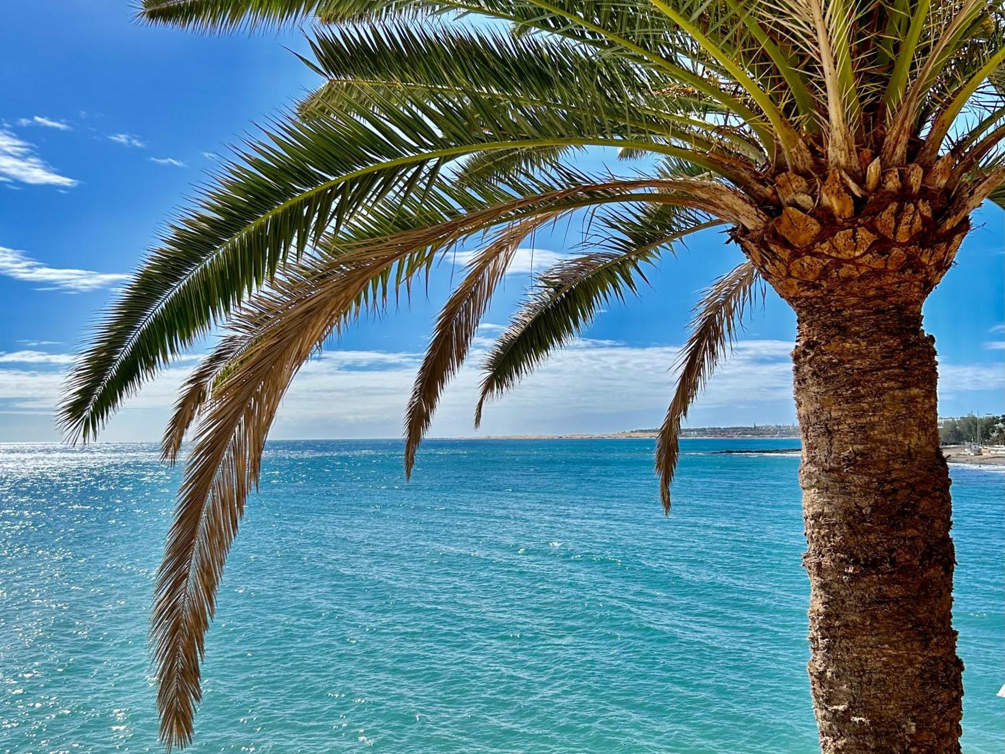 Sobre El Mar Con Vistas A Las Dunas De Maspalomas ซาน อากุสติน ภายนอก รูปภาพ